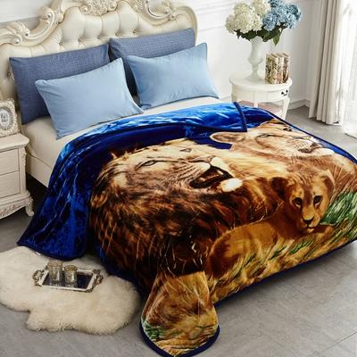 JML Raschel A&B Printed 2-ply Reversible Korean-style Plush Fleece Blanket