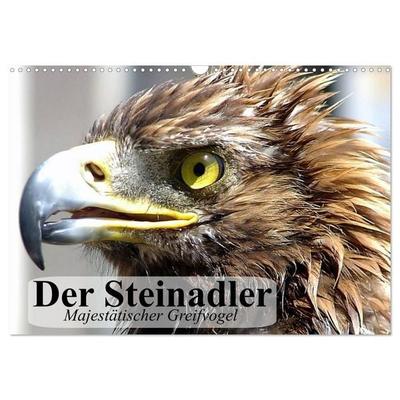 Der Steinadler. Majestätischer Greifvogel (Wandkalender 2026 DIN A3 quer), CALVENDO Monatskalender