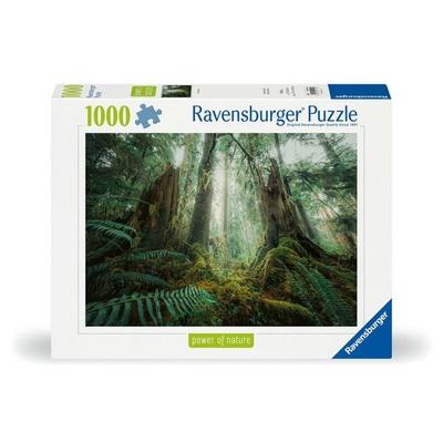 Erwachsenenpuzzle 1000 Teile - Faszinierender Wald
