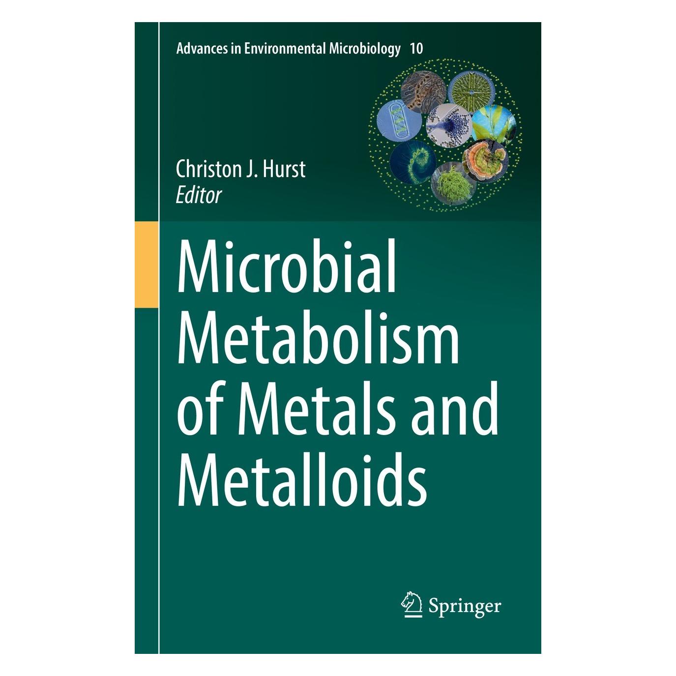 Springer Microbial Metabolism of Metals and Metalloids (Englisch, Hardcover, Christon J. Hurst) (9783030971847)