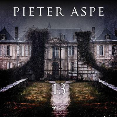 13 - Pieter Aspe, Audio, 9788726664126
