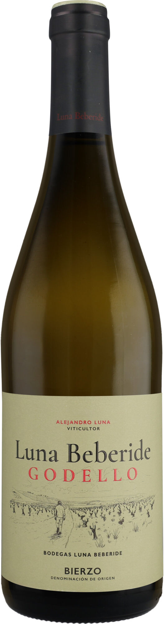 Luna Beberide Godello 2025 12% Vol. Weißwein Trocken aus Spanien
