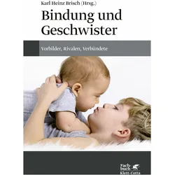 Bindung und Geschwister, Fachbücher von Karl Heinz Brisch