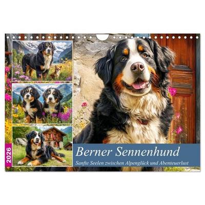 Berner Sennenhund. Sanfte Seelen zwischen Alpenglück und Abenteuerlust (Wandkalender 2026 DIN A4 quer), CALVENDO Monatskalender