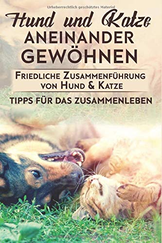 Thorsten Lehrke - Hund und Katze aneinander gewöhnen : Friedliche Zusammenführung von Hund & Katze: Tipps für das Zusammenleben - Preis vom 09.10.2026 07:28:09 h