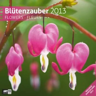 Blütenzauber, Broschürenkalender 2013
