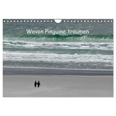 Wovon Pinguine träumen (Wandkalender 2026 DIN A4 quer), CALVENDO Monatskalender