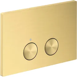 hansgrohe AXOR Drückerplate für hansgrohe iFrame Universal, 42531950, Farbe: Brushed Brass