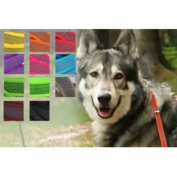 Super-Grip | gummierte Hundeleine aus PES | 12 mm x 120 cm lang | ohne Handschlaufe | kleiner Karabiner