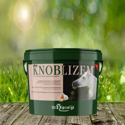 St. Hippolyt Knoblizem Mineral 10 kg - Die schmackhafte Insektenabwehr