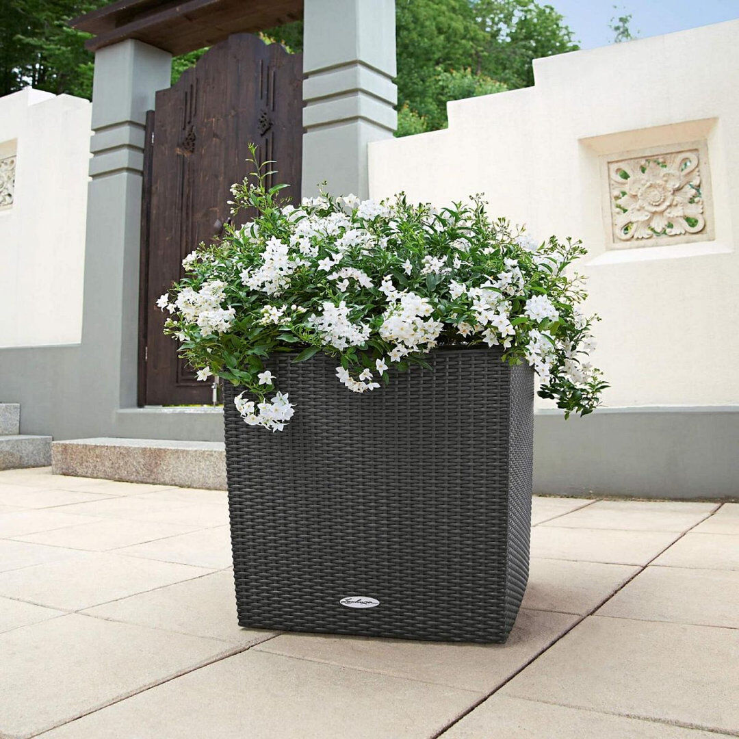 Ebern Designs Moneak Self-Watering Plastic Planter Box Black 50cm H x 50cm W x 50cm D