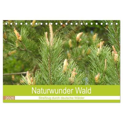Naturwunder Wald (Tischkalender 2026 DIN A5 quer), CALVENDO Monatskalender