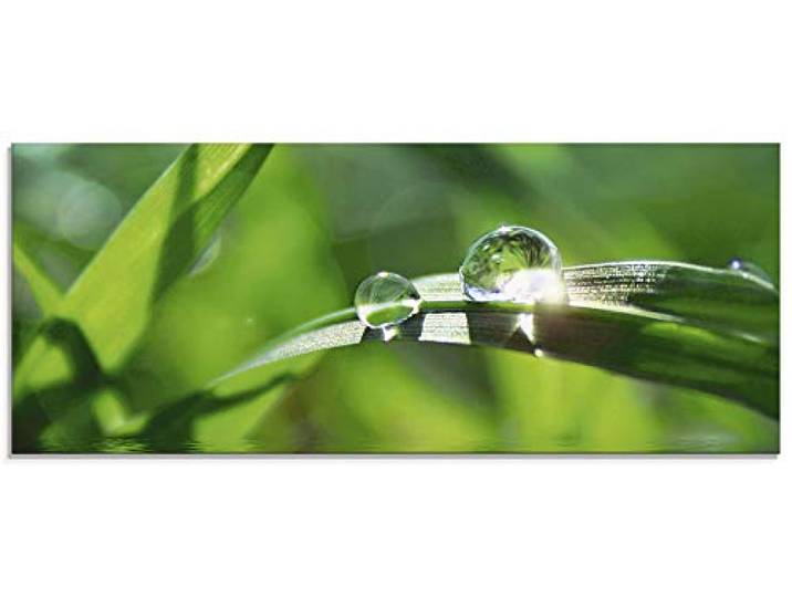 ARTland Wanddeko Glasbilder Wandbild Glas Bild einteilig 125x50 cm Querformat Natur Botanik Pflanzen Gräser Wassertropfen Gras Sommer Sonne Grün T5SE