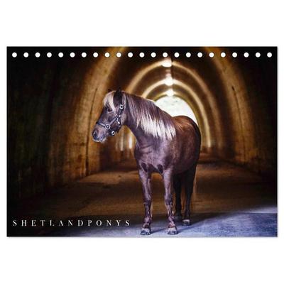 Shetlandpony Kalender (Tischkalender 2027 DIN A5 quer), CALVENDO Monatskalender