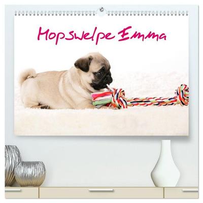 Mopswelpe Emma (hochwertiger Premium Wandkalender 2027 DIN A2 quer), Kunstdruck in Hochglanz