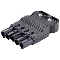Wieland Electric 92.954.4053.1 Steckverbinder