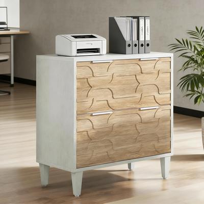 Kodotan sofa 2-Drawer File Cabinet,Ample Storage Cabinet