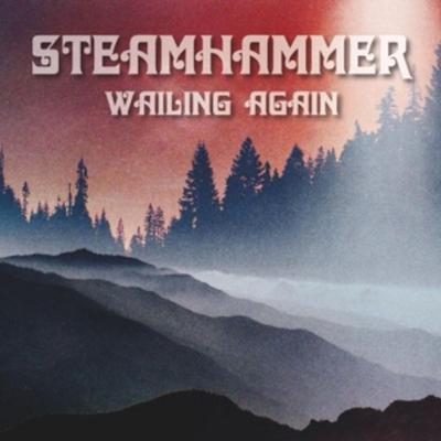 Wailing Again - Steamhammer, Vinyl