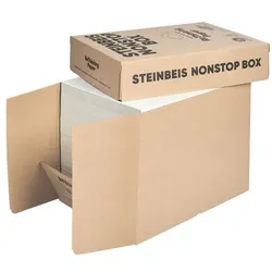 Steinbeis Maxi-Box Recyclingpapier »Trend White« weiß