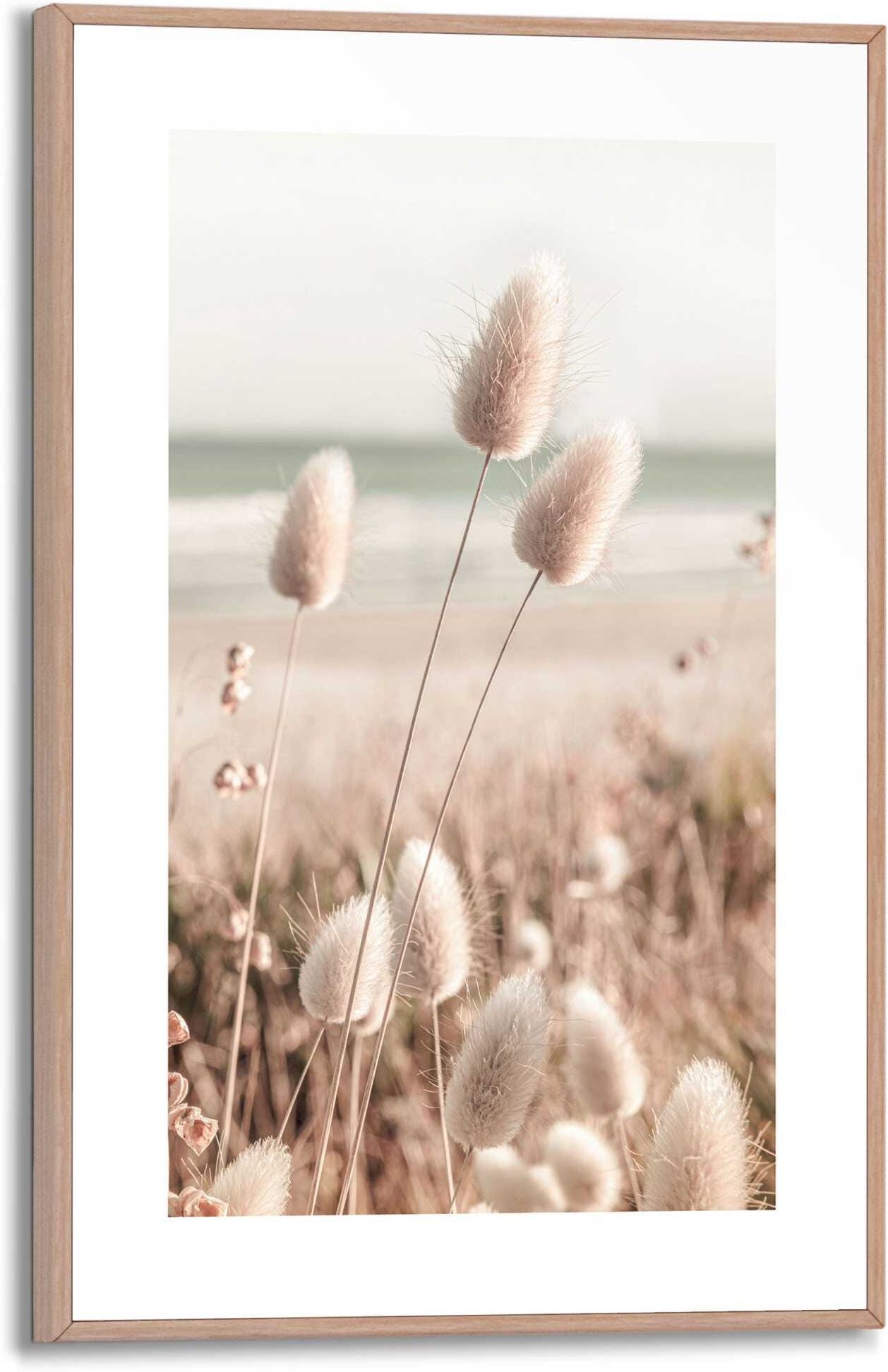 Reinders! Poster REINDERS "Ziergras", beige (farbe bild(er): beige), B:20cm H:30cm T:1,6cm, MDF, Bilder, Poster