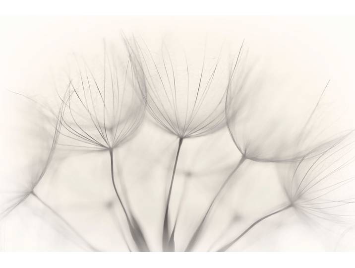 Fototapete PAPERMOON Photo-Art JAKOB ARNHOLTZ, KEIN TITEL , bunt, B:2m L:1,49m, Vlies, Tapeten, Fototapete