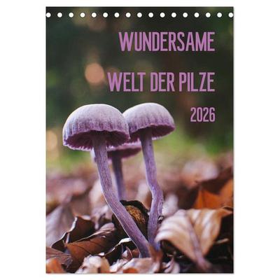 Wundersame Welt der Pilze (Tischkalender 2026 DIN A5 hoch), CALVENDO Monatskalender
