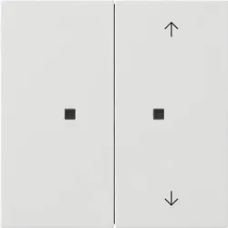 Gira KNX Taster Wippe 2f rws 5175112