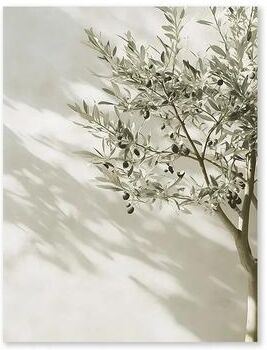 Uplifted Finds Mediterranean Olive Grove Canvas   Countryside Landscape Art   Executive Studio & Coastal Sanctuary Decor lc028 2 40 X 60 Cm Unframed
