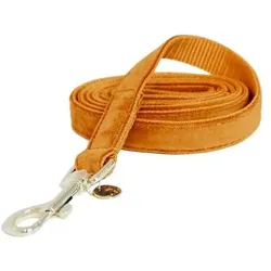 Kentucky Horsewear Velvet (S, Hund), Halsband + Leine