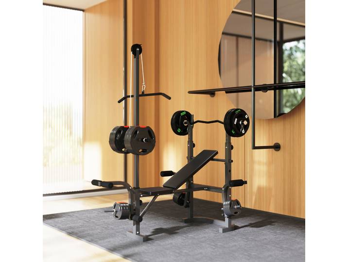 SPORTNOW Banc Musculation Ajustable avec Extension et Pupitre Biceps