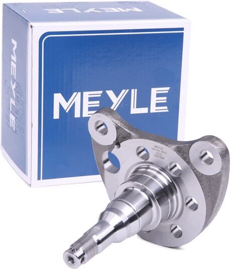 MEYLE 100 501 0012 Kingpin, axle beam