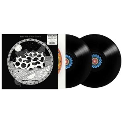 An Eraser And A Maze - Modest Mouse, Vinyl