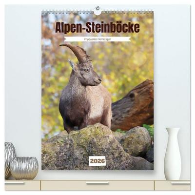 Alpen-Steinböcke, imposante Hornträger (hochwertiger Premium Wandkalender 2026 DIN A2 hoch), Kunstdruck in Hochglanz