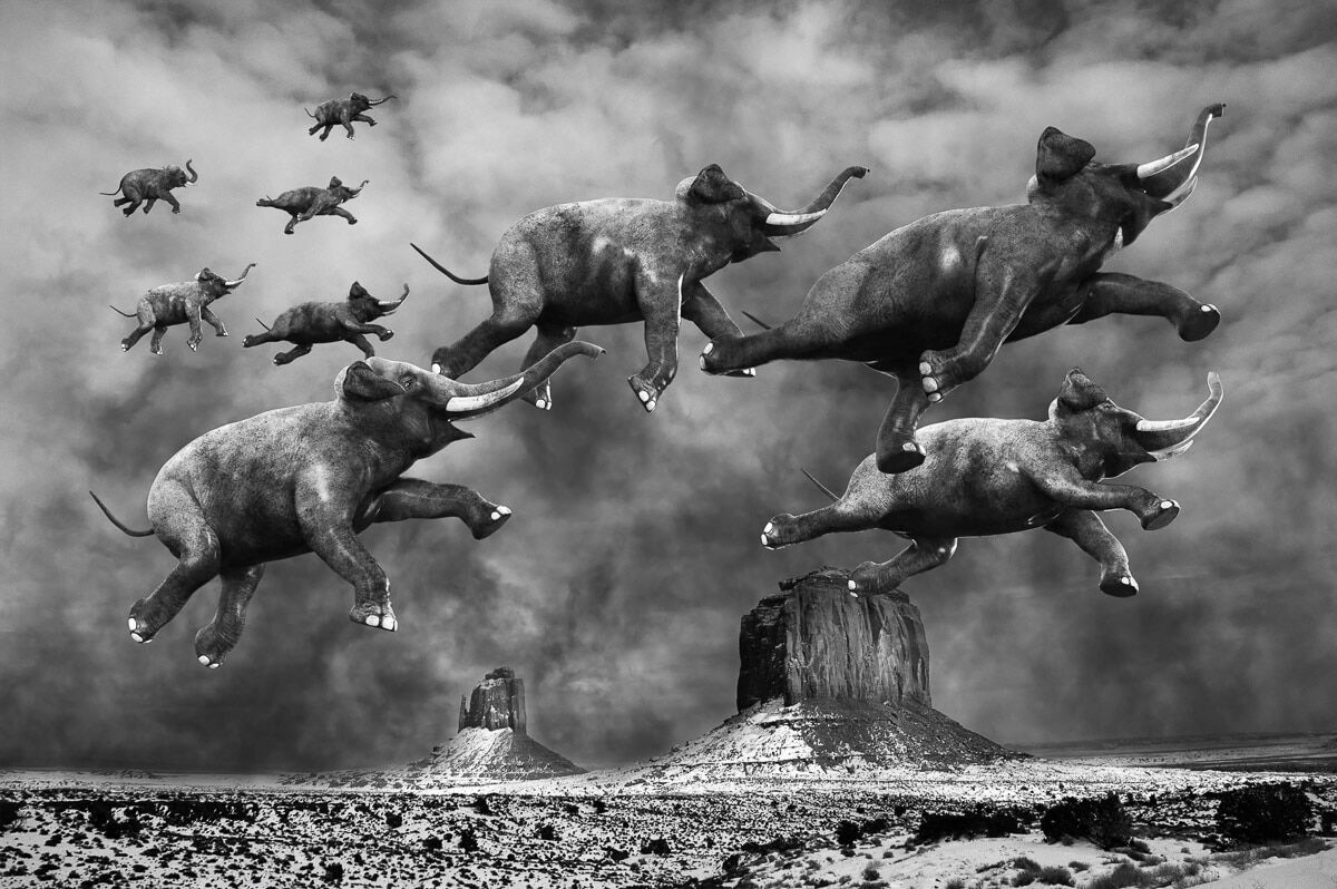 Fototapete PAPERMOON "Surreale fliegende Elefanten", bunt, B:2,5m L:1,86m, Vlies, Tapeten, Fototapete