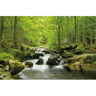 Fototapete PAPERMOON "Soft Water Stream", bunt, B:5m L:2,8m, Vlies, Tapeten