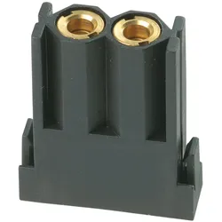 Walther Werke Pneumatikmodul 771002