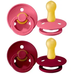 Bibs, Nuggi, Schnuller (2x, 6 - 18 Monate)