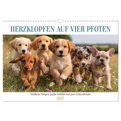 Herzklopfen auf vier Pfoden (Wandkalender 2027 DIN A3 quer), CALVENDO Monatskalender