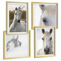 BILDER SET 4er Set - 50x50 cm & 40x60 cm Goldrahmen - Weiße Pferde