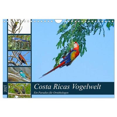 Costa Ricas Vogelwelt (Wandkalender 2027 DIN A4 quer), CALVENDO Monatskalender