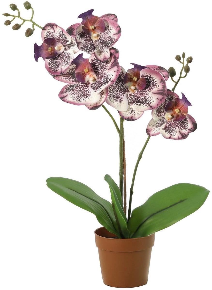 Florafy Kunstplant Orchidee Phalaenopsis Paars 41cm - Onderhoudsvrije kunstplant voor binnen
