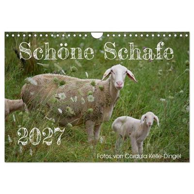 Schöne Schafe (Wandkalender 2027 DIN A4 quer), CALVENDO Monatskalender