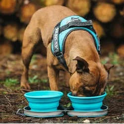 2 Stück Faltbare Reisenäpfe für Tiere – Blau, platzsparend