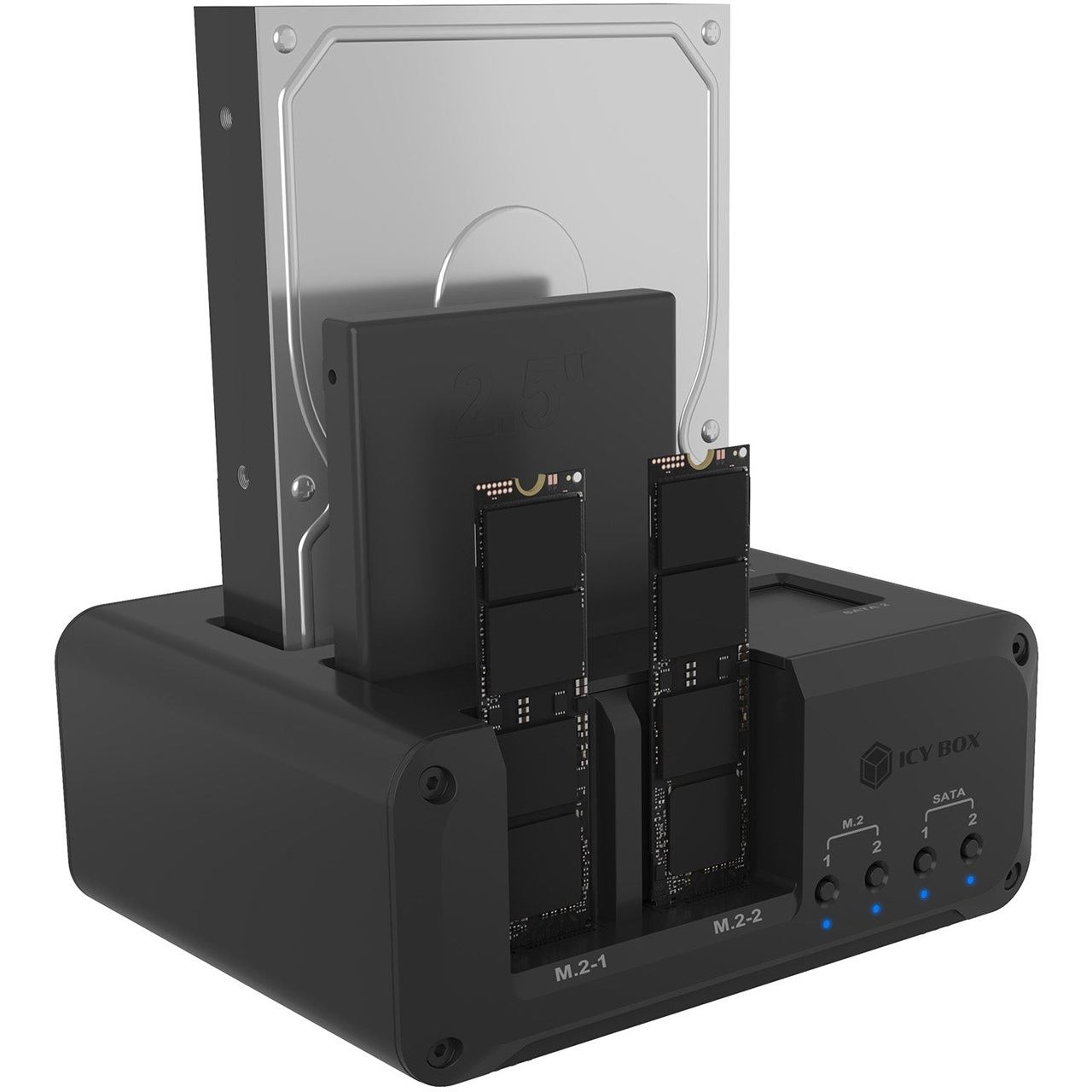 Icy Box IB-2925MS-CU31 (schwarz)