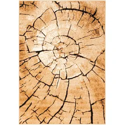 Pergamon, Teppich, Designer Teppich Samba Modern Nature (190 x 280 cm)