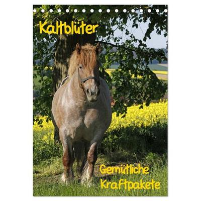 Kaltblüter (Tischkalender 2027 DIN A5 hoch), CALVENDO Monatskalender