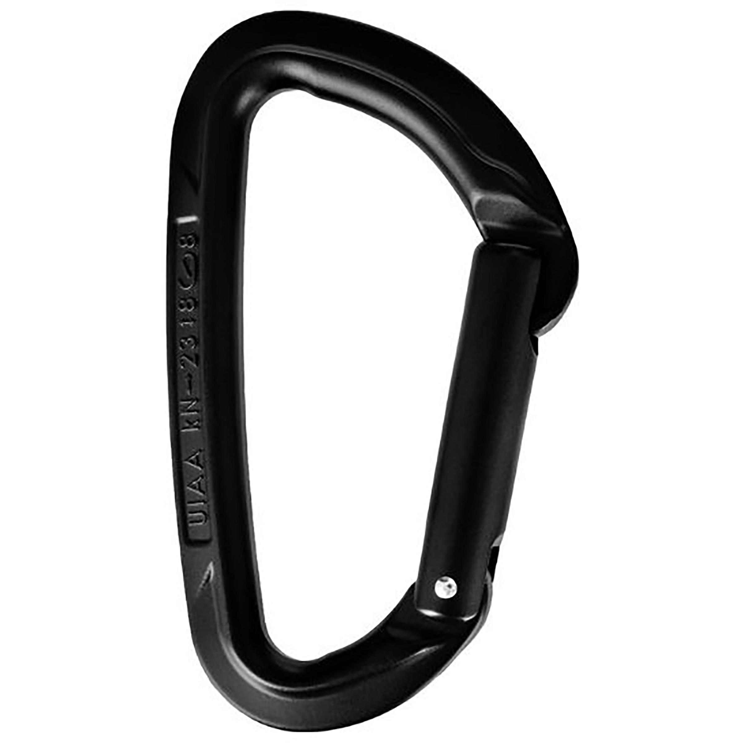 Wild Country Session Straight Karabiner Karabiner schwarz Alpinklettern | Sportklettern