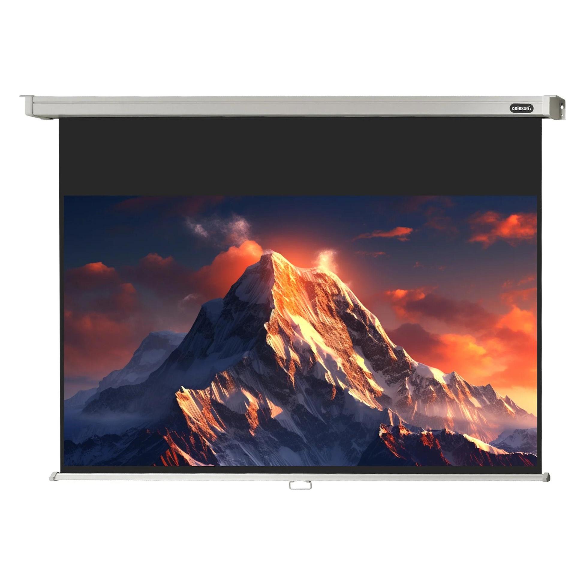 Celexon Rollo Professional (85", 16:9) (1090058)