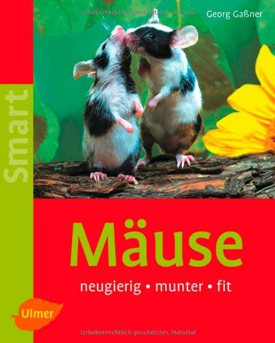 Georg Gassner - Mäuse: neugierig - munter - fit - Preis vom 30.09.2026 09:01:18 h