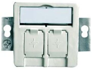 Telegärtner Modul-Aufnahme 2fach UP/50 aws leer f.BR 100021416)